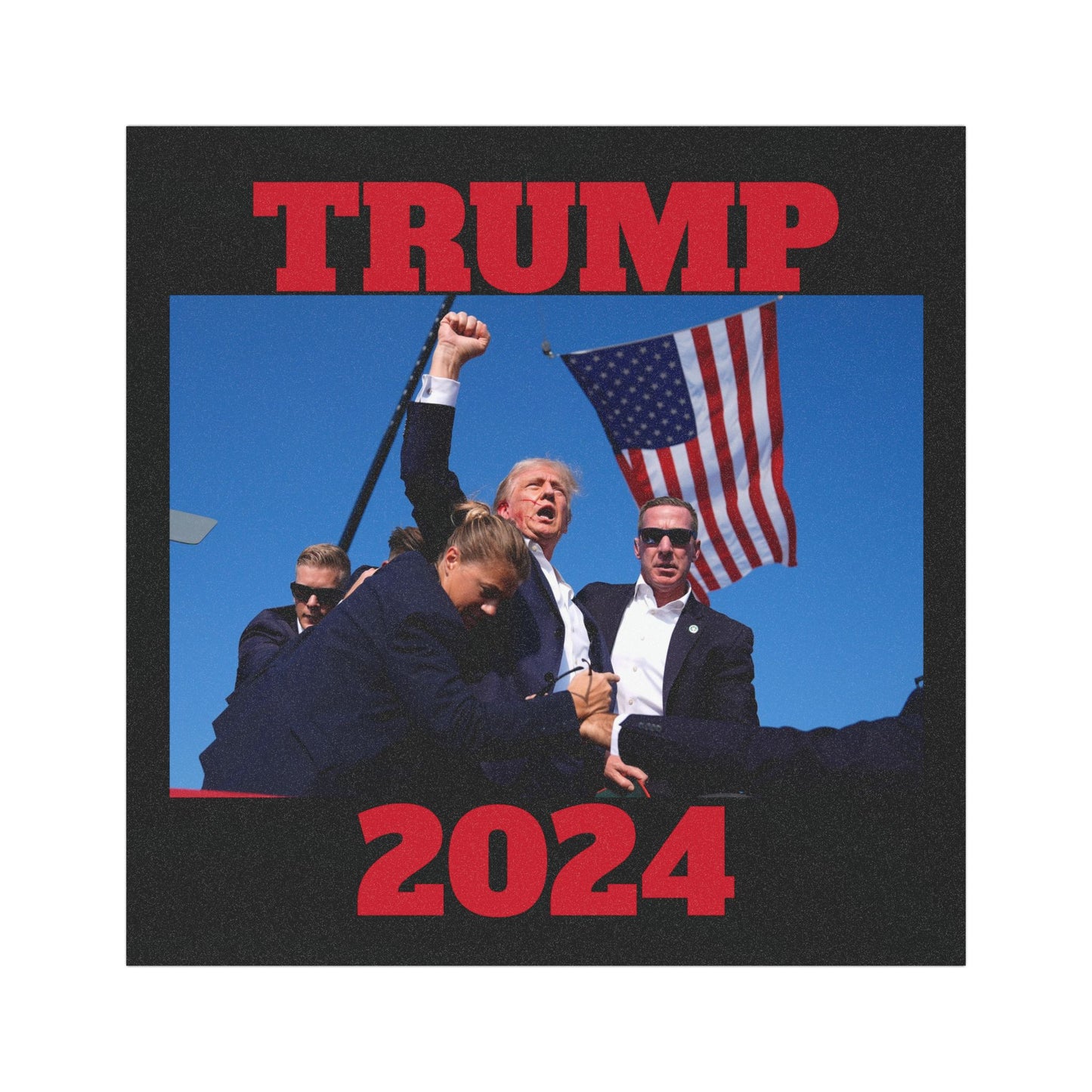 TRUMP 2024 Car Magnets